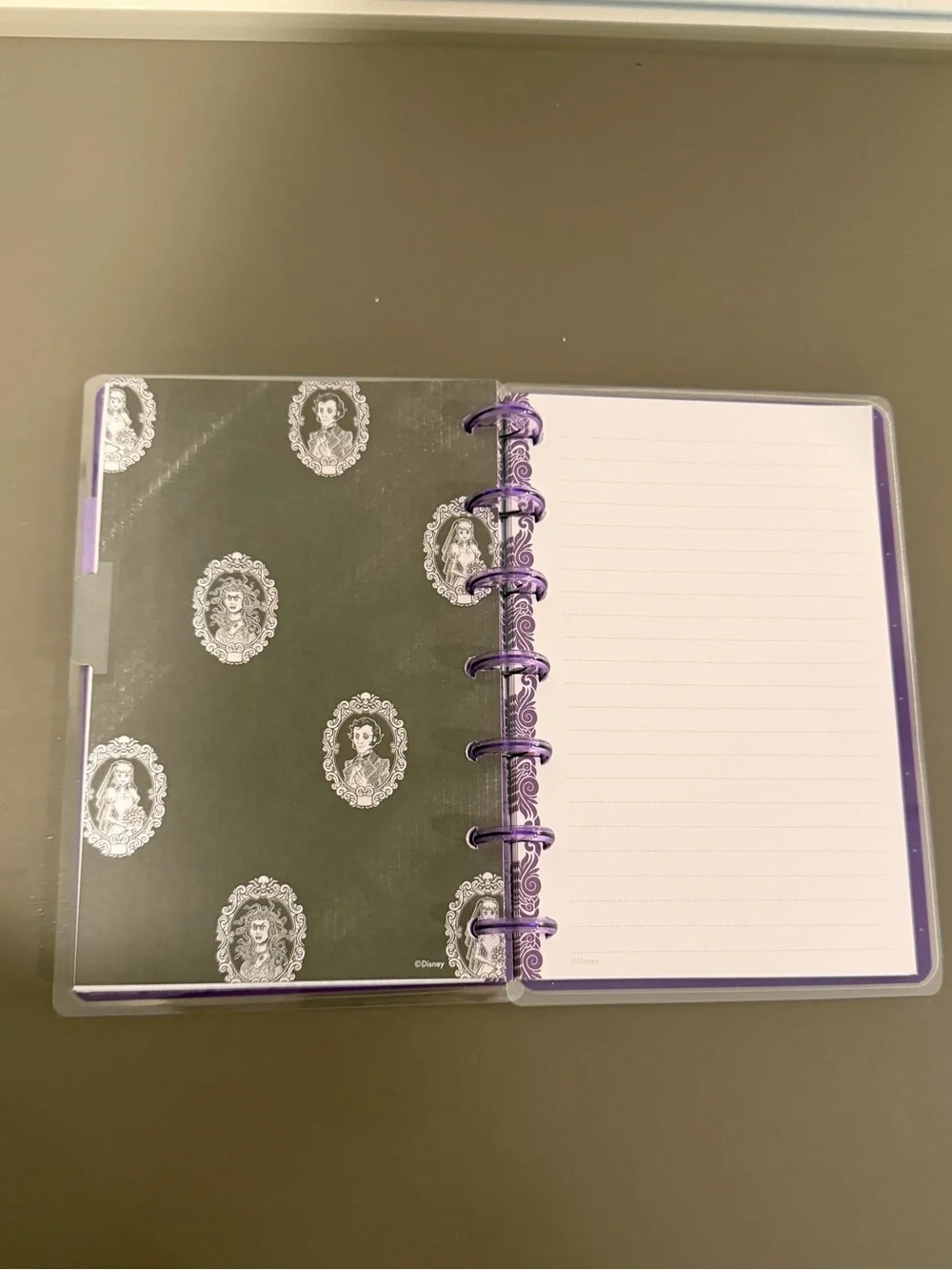 Happy Planner Haunted Mansion Mini Notebook